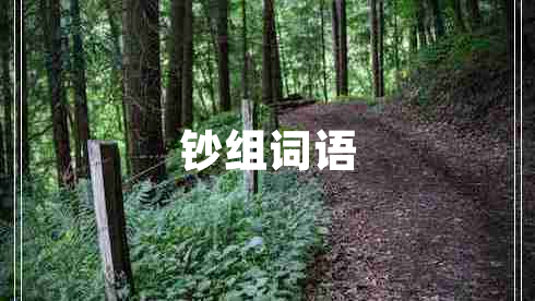 鈔組詞語