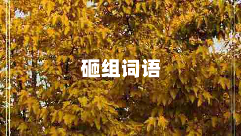 砸組詞語