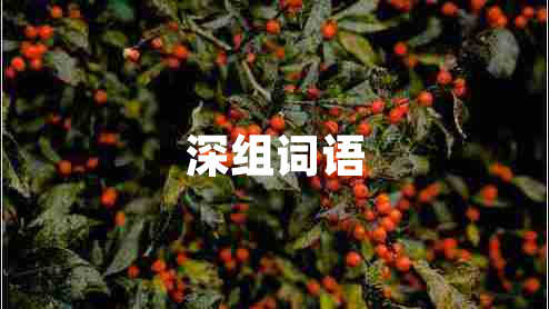 深組詞語