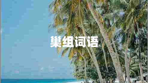 巢組詞語