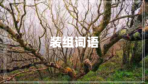 裝組詞語