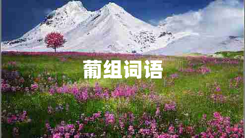 葡組詞語