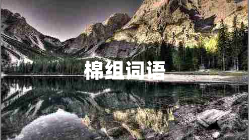 棉組詞語