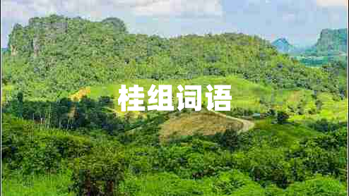 桂組詞語