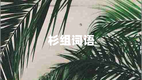 杉組詞語