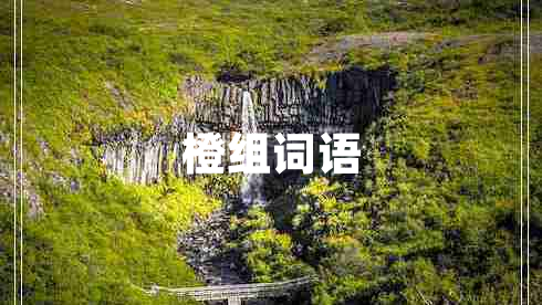橙組詞語