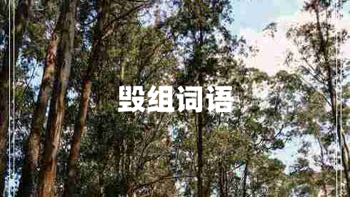 毀組詞語