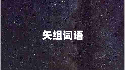 矢組詞語