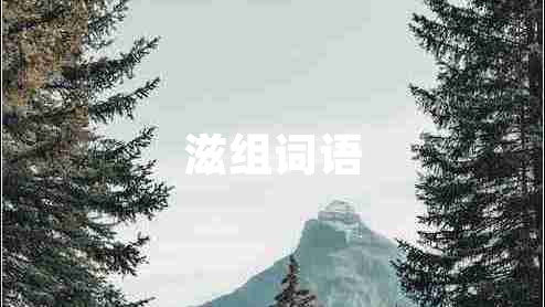 滋組詞語