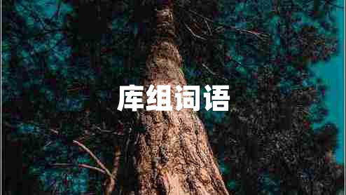 庫組詞語