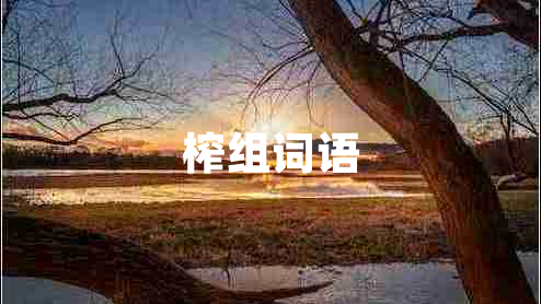 榨組詞語
