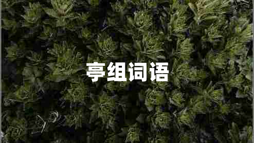 亭組詞語