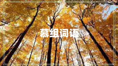 慕組詞語