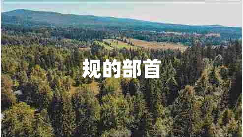 規(guī)的部首