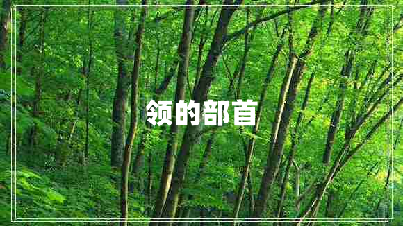 領的部首