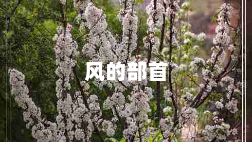 風的部首