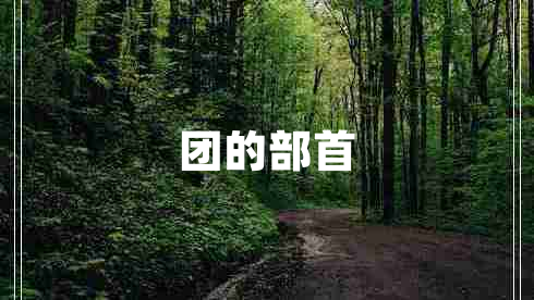 團(tuán)的部首