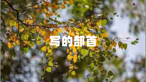 寫的部首