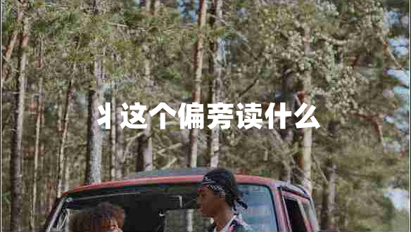 丬這個偏旁讀什么