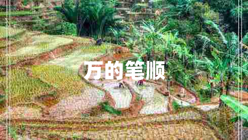 萬的筆順