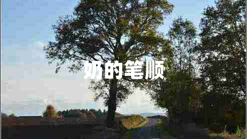 奶的筆順