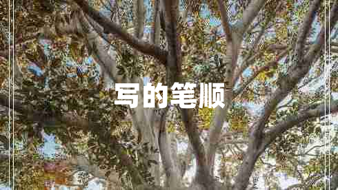 寫的筆順
