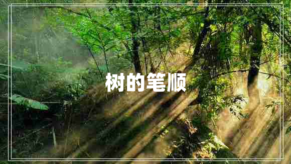 樹的筆順