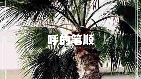 呼的筆順