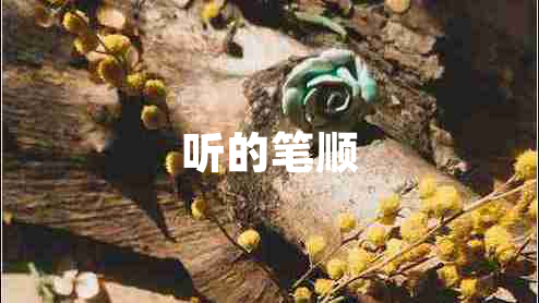 聽的筆順