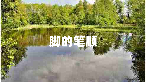 腳的筆順