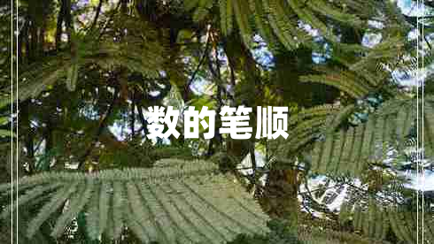 數(shù)的筆順
