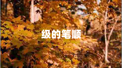 級(jí)的筆順