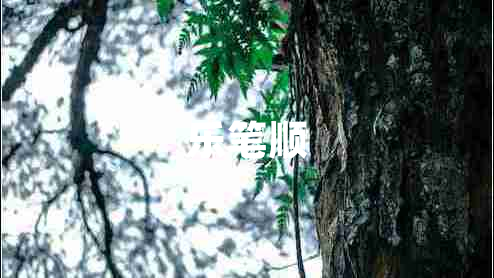 樂筆順