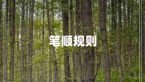 筆順規(guī)則