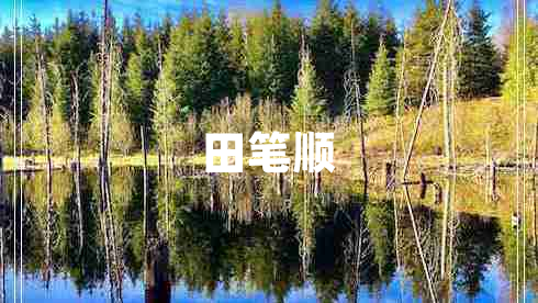 田筆順