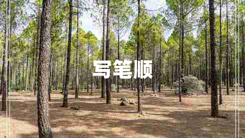 寫筆順