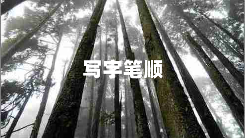 寫字筆順