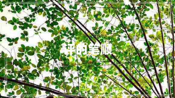 評(píng)的筆順