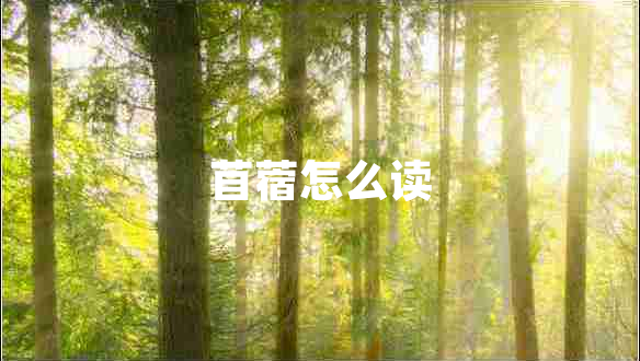 苜蓿怎么讀