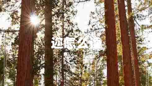 邇?cè)趺醋x