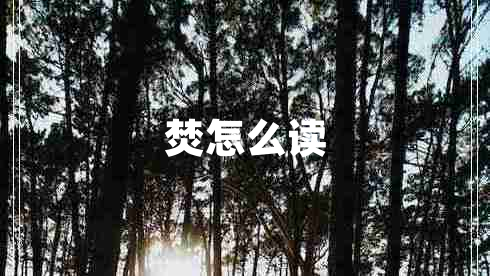 焚怎么讀