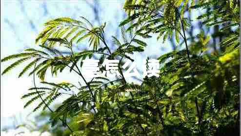 亳怎么讀