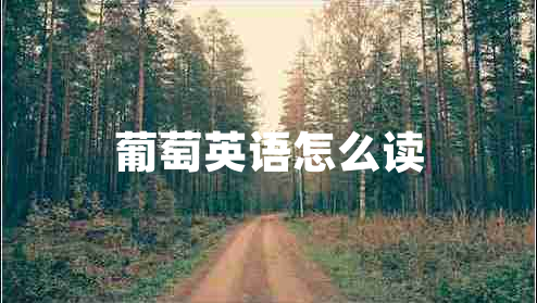 葡萄英語怎么讀