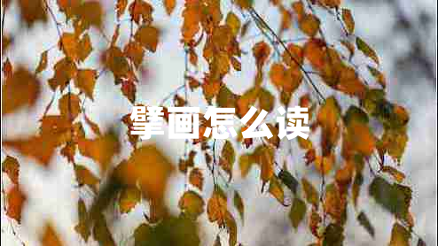 擘畫怎么讀