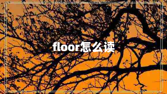 floor怎么讀