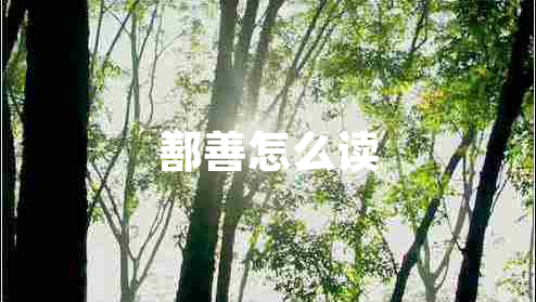 鄯善怎么讀