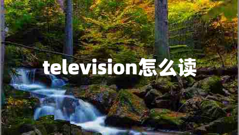 television怎么讀
