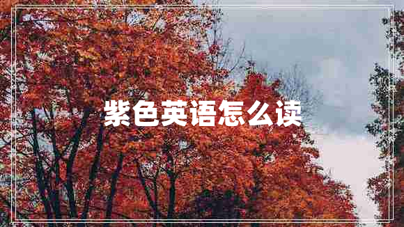 紫色英語怎么讀