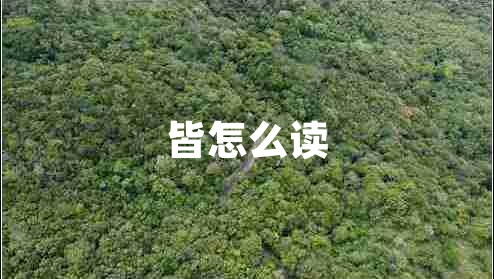 皆怎么讀