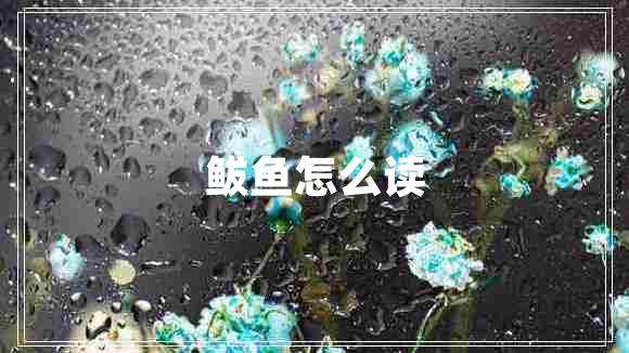 鲅魚怎么讀